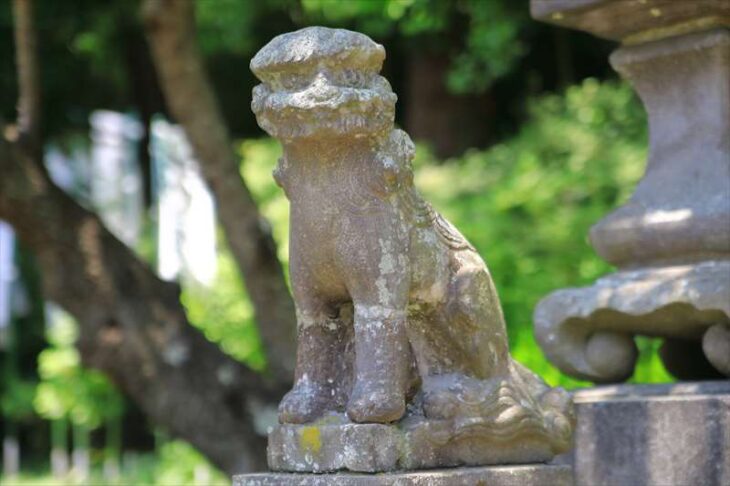 白旗神社の狛犬