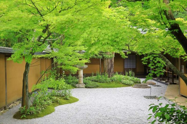 一条恵観山荘の新緑の日本庭園
