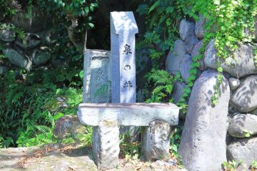 泉ノ井