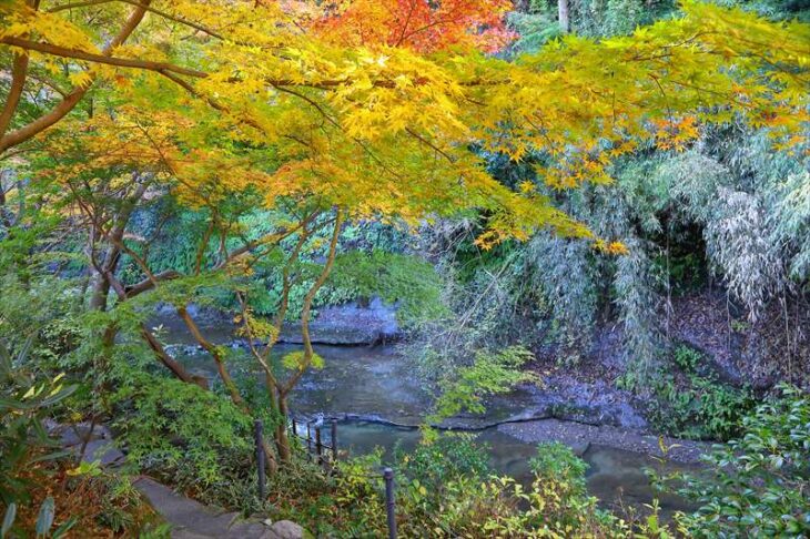一条恵観山荘 滑川沿いの紅葉