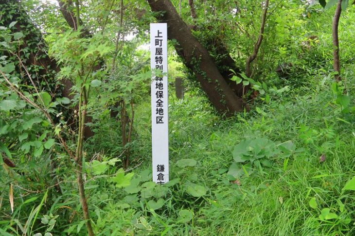 「上町屋特別緑地保全地区 鎌倉市」と書かれた案内塔