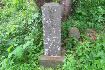 寺分富士