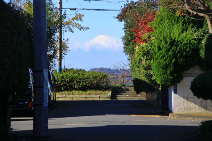 浄明寺緑地の富士山