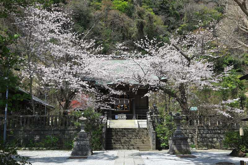 坂ノ下 御霊神社