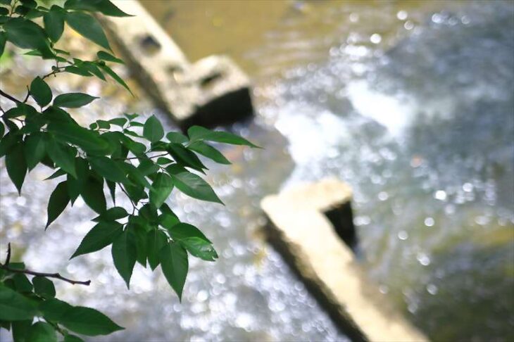 蛭子神社裏の滑川