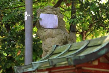 八雲神社の狛犬様