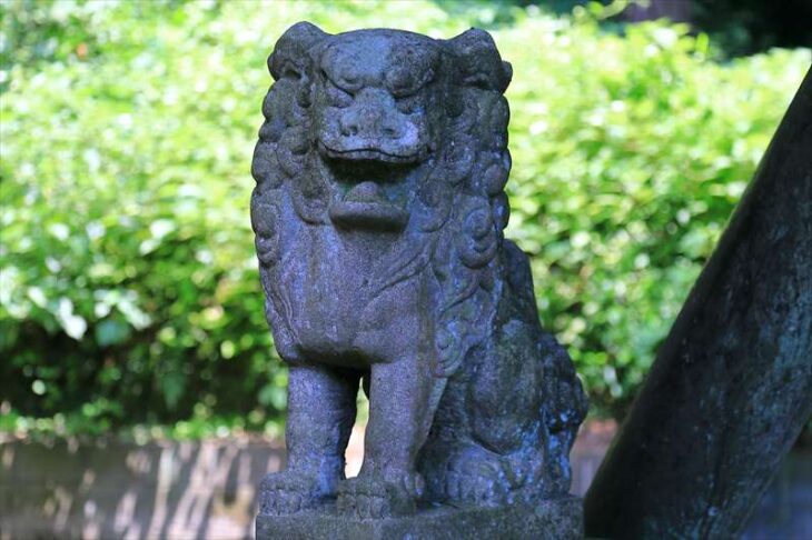 朝比奈町の熊野神社の狛犬