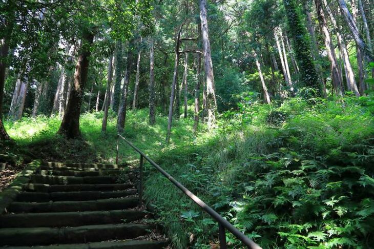 北野神社の参道の階段