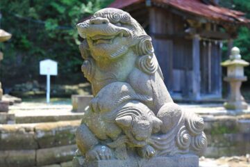 大船の熊野神社の狛犬様