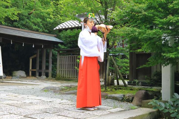 鎌倉宮 夏越祈願祭の始まり