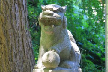 熊野神社（手広）の狛犬様