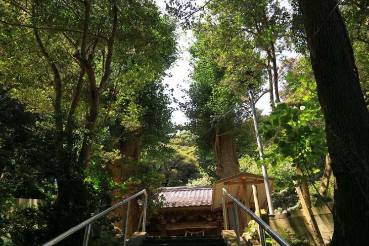 熊野神社（手広）