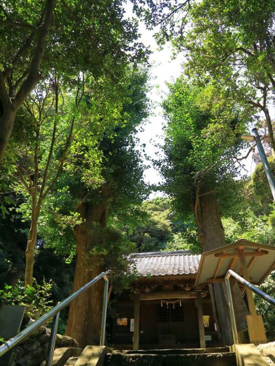 夏の熊野神社（手広）