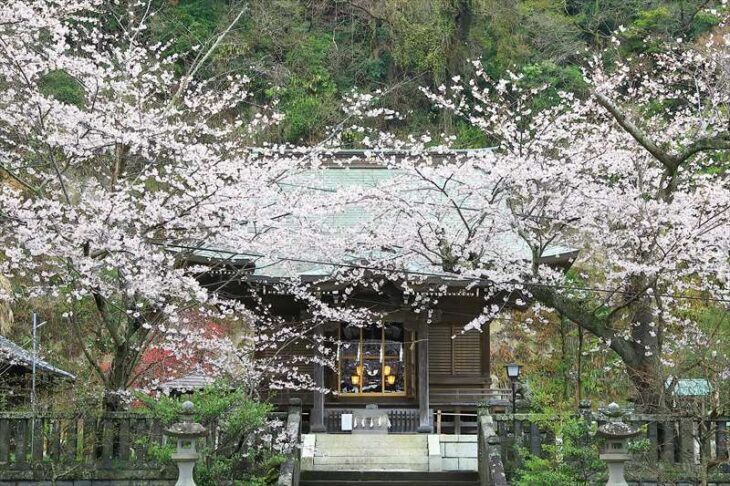 坂ノ下 御霊神社