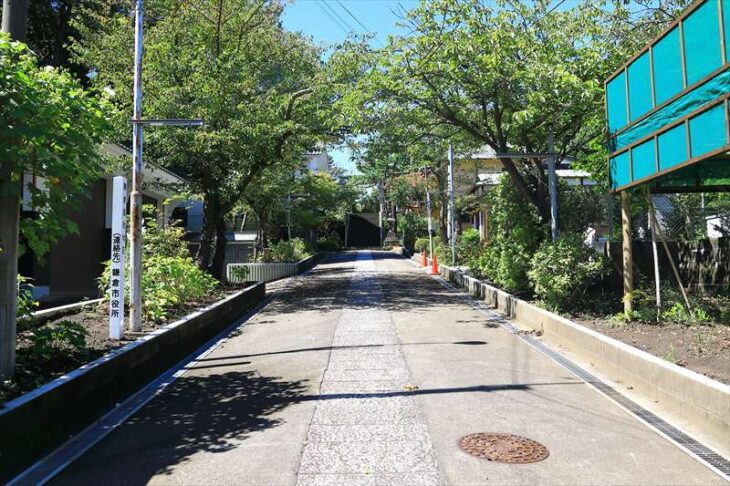 小動神社の参道