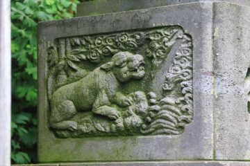 三嶋神社の狛犬様