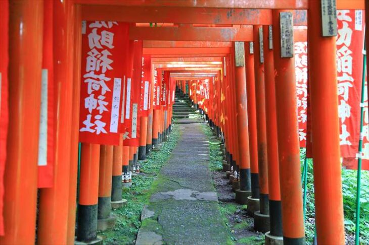 佐助稲荷神社の鳥居の参道