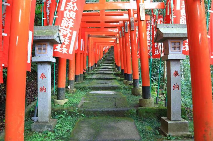 佐助稲荷神社の鳥居の参道