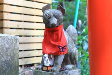 佐助稲荷神社の鳥居の参道のお狐様