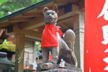 佐助稲荷神社の鳥居の参道のお狐様