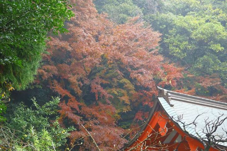 荏柄天神社の紅葉