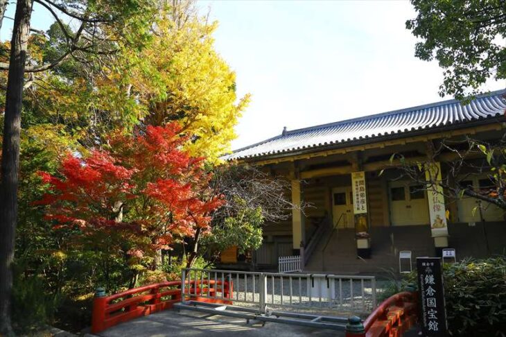 鎌倉国宝館前の紅葉