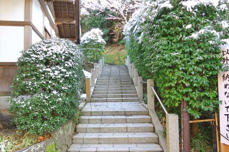 鶴岡八幡宮 柳原神池側の階段