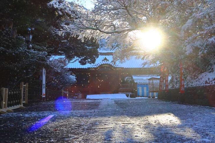 雪の鶴岡八幡宮 