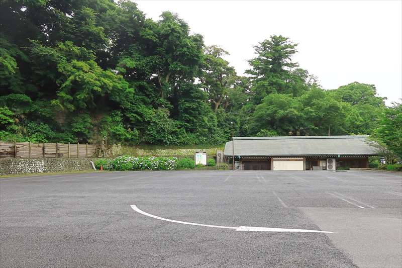 鶴岡八幡宮の紫陽花が咲いている場所と見頃、花手水も紹介 鎌倉の神社と御朱印巡り by鎌倉PRESS