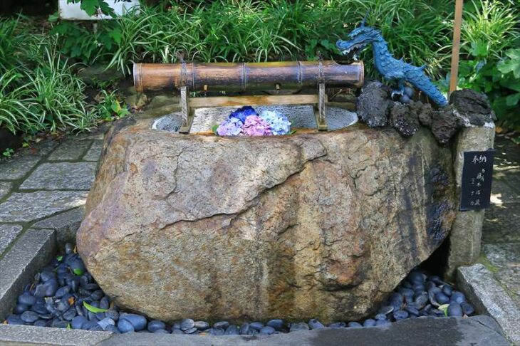 葛原岡神社の紫陽花の花手水