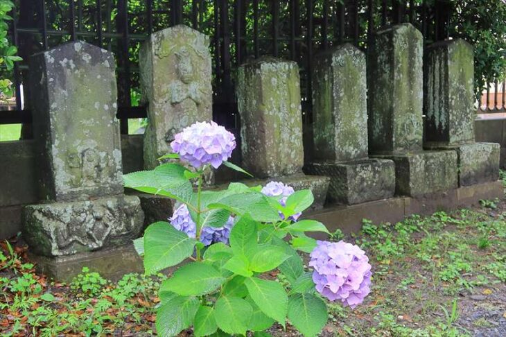 庚申塔と紫陽花