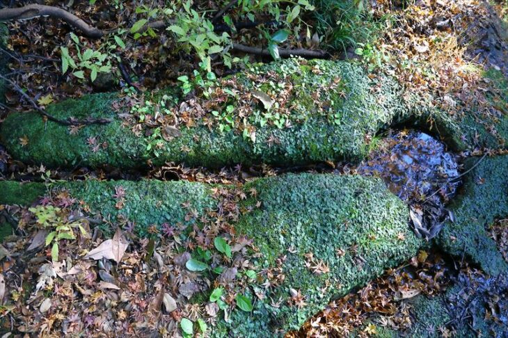 白山神社（今泉）の醍醐塔