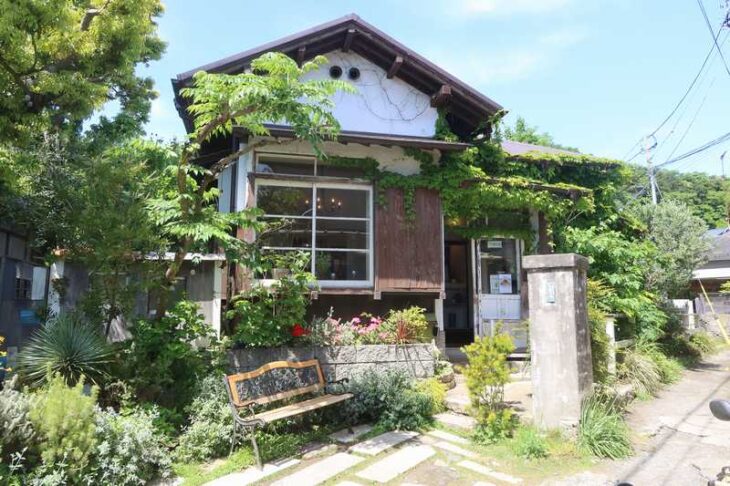 サカノシタ