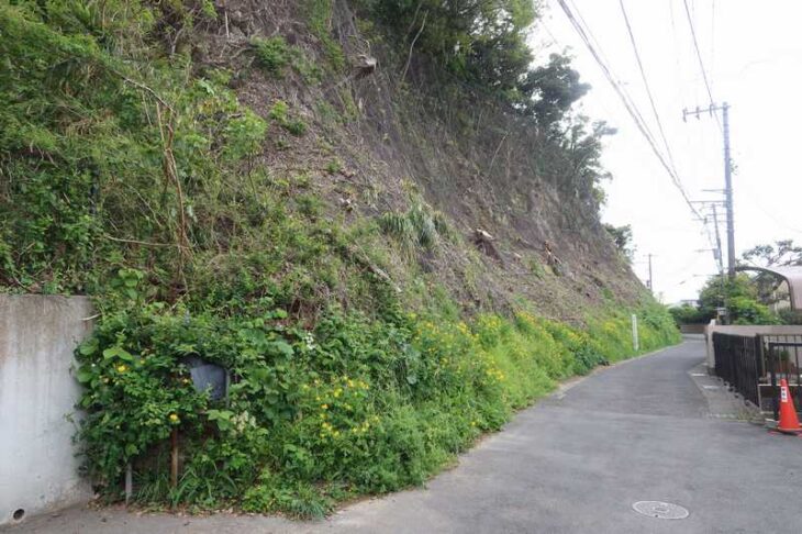 鎌倉でよく見かける崖