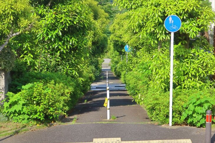 笛田2丁目の住宅街の遊歩道