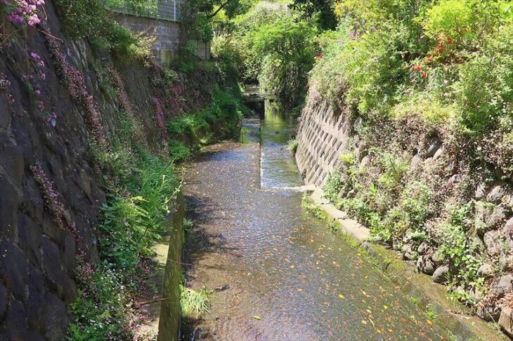 極楽寺川