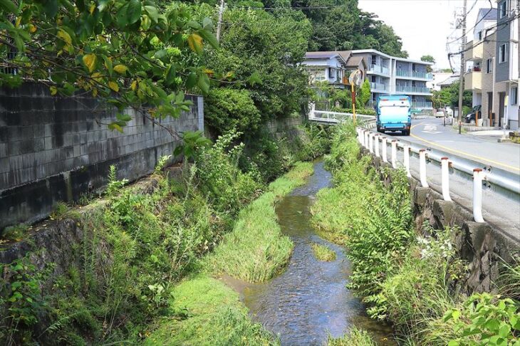 県道21号線よりも東の谷戸が多いエリア