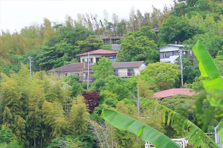 源氏山・台峯山エリア