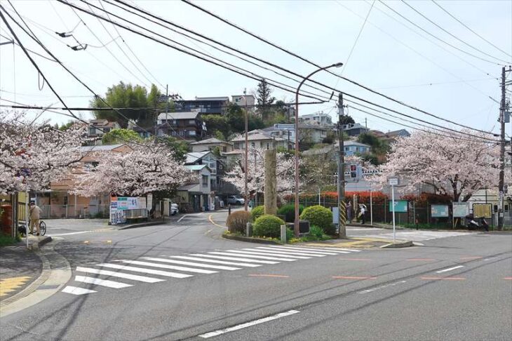 鎌倉山ロータリー