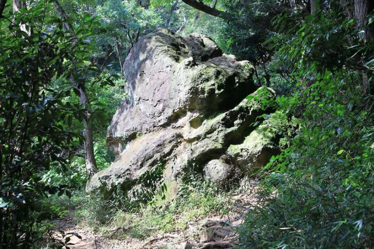 天園ハイキングコース上の巨石