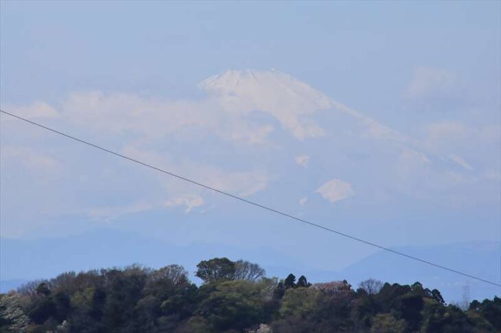 天園ハイキングコースから見えた富士山