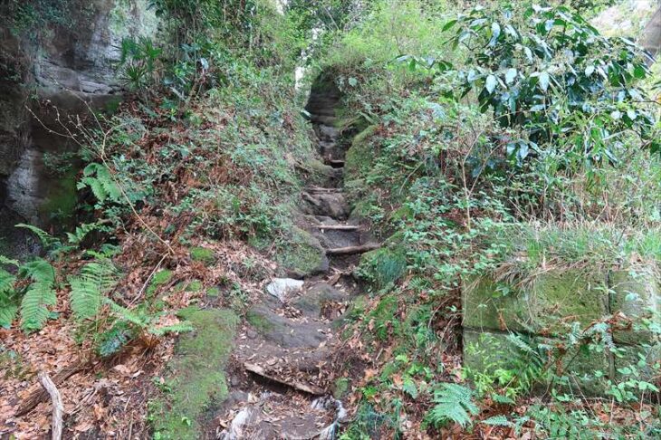 寿福寺の山門から源氏山公園へのハイキングコース入口への道