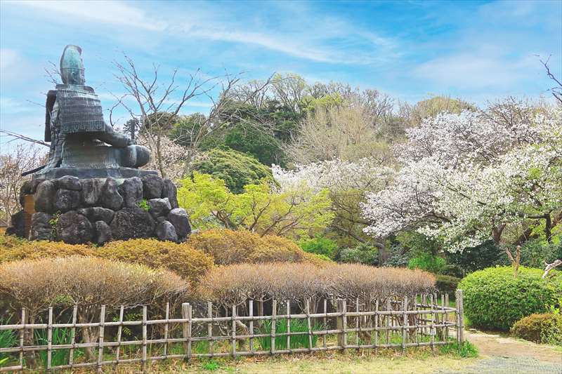 源氏山公園の源頼朝像と桜