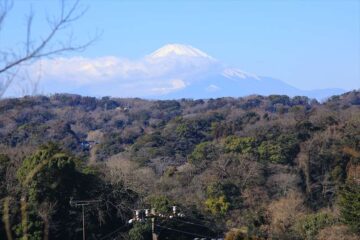 胡桃ヶ谷入口（天園ハイキングコース非公式ルート）からの富士山