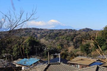 胡桃ヶ谷入口（天園ハイキングコース非公式ルート）からの富士山