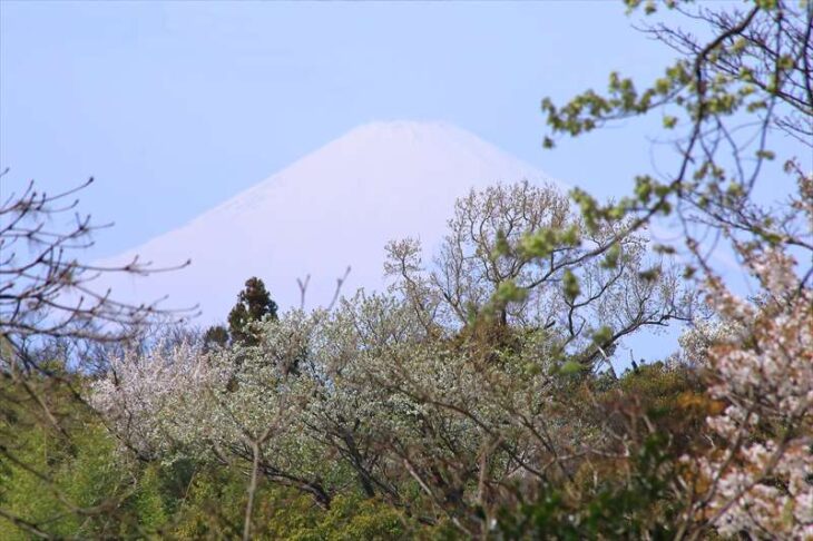 峯山散策路からの富士山
