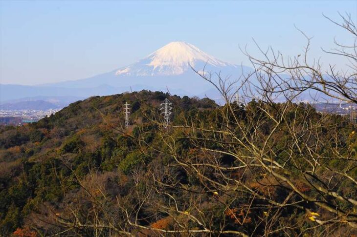 天園ハイキングコースから見た富士山