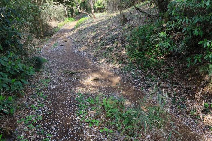 天園ハイキングコースの鎌倉霊園入口コース