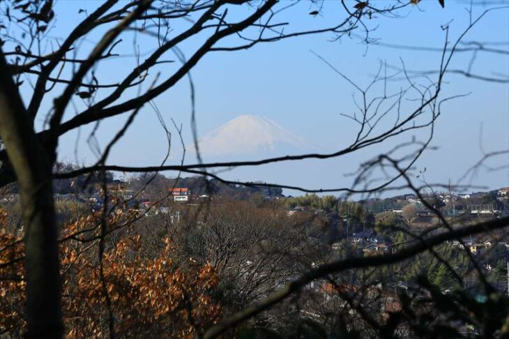 葛原岡・大仏ハイキングコースから見える富士山