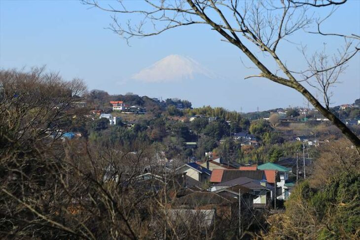 Cafe terrace樹ガーデン 分岐から見える富士山